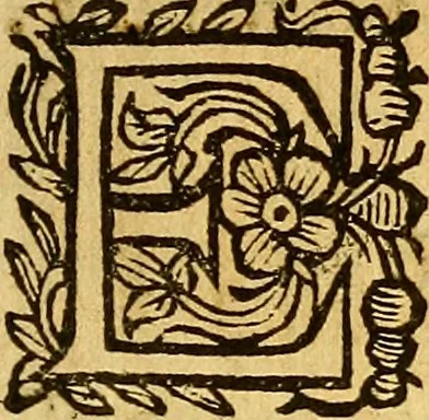 An illustration from La perfettione del cavallo, libri tre, di Francesco Liberati Romano, 1669, leaf 96