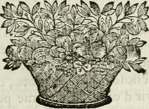 An illustration from La Perpétuité de la foy de l'Eglise catholique touchant l'Eucharistie, déffendue contre les livres du Sieur Claude, ministre de Charenton, 1670, leaf 380