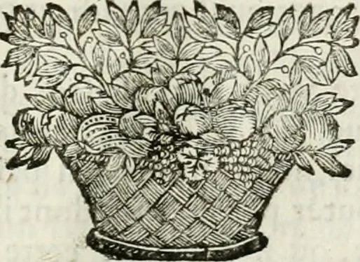 An illustration from La Perpétuité de la foy de l'Eglise catholique touchant l'Eucharistie, déffendue contre les livres du Sieur Claude, ministre de Charenton, 1670, leaf 66