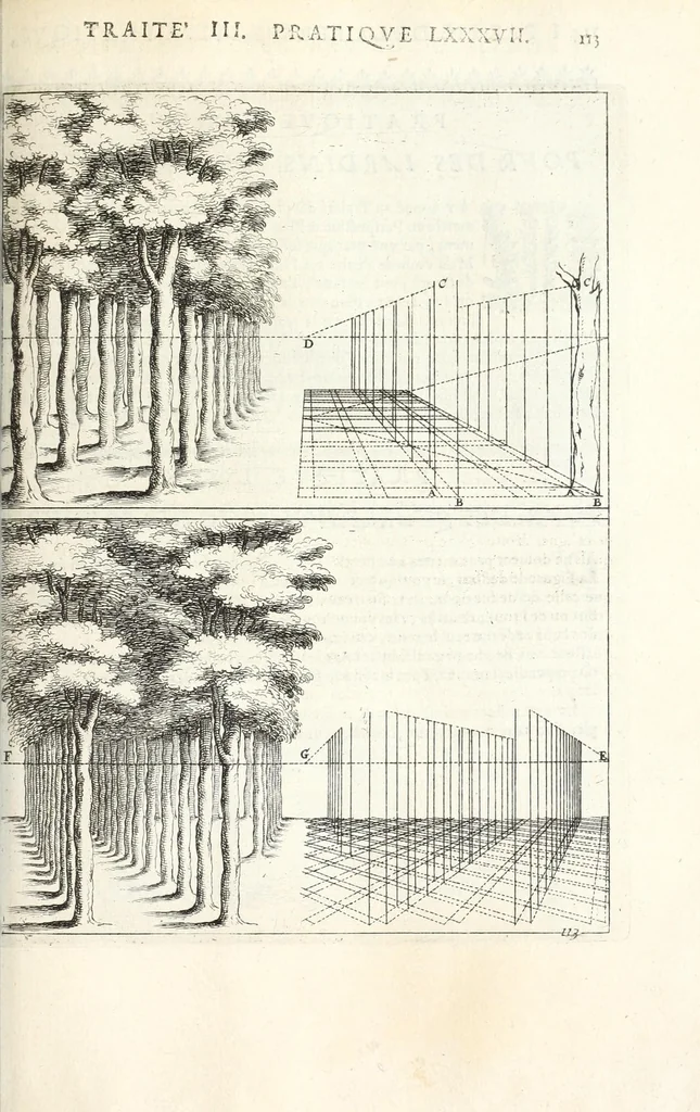 An illustration from La perspectiue pratique : necessaire a tous peintres, graueurs, sculpteurs, architectes, orfeures, brodeurs, tapissiers, et autres qui se meslent de desseigner, 1647, leaf 299