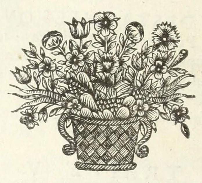 An illustration from La perspectiue pratique : necessaire a tous peintres, graueurs, sculpteurs, architectes, orfeures, brodeurs, tapissiers, et autres qui se meslent de desseigner, 1647, leaf 30