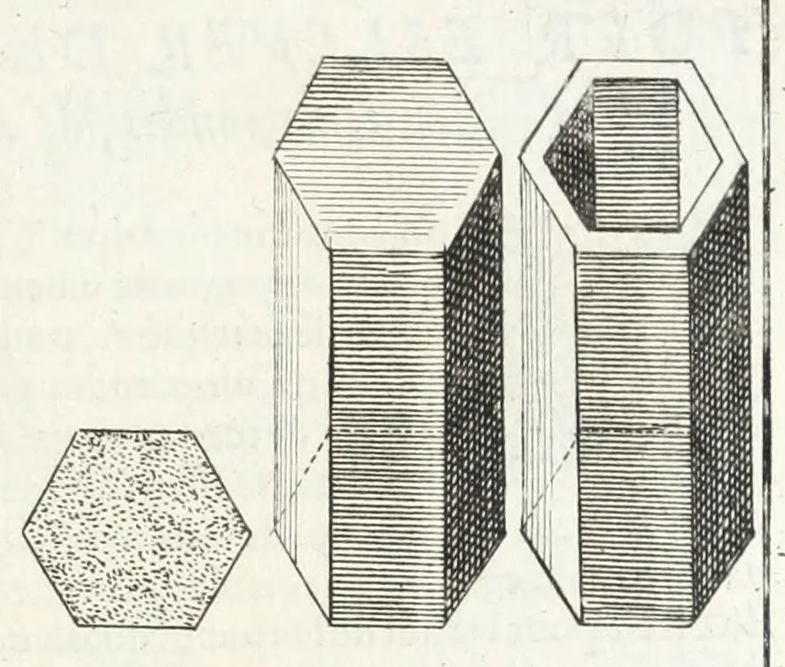 An illustration from La perspectiue pratique : necessaire a tous peintres, graueurs, sculpteurs, architectes, orfeures, brodeurs, tapissiers, et autres qui se meslent de desseigner, 1647, leaf 431