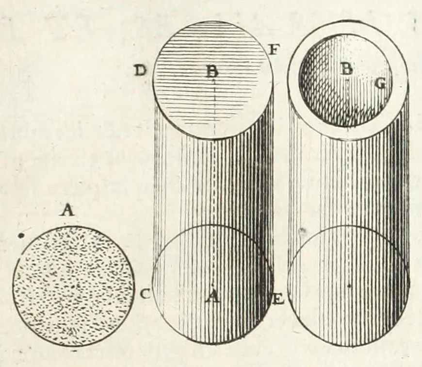 An illustration from La perspectiue pratique : necessaire a tous peintres, graueurs, sculpteurs, architectes, orfeures, brodeurs, tapissiers, et autres qui se meslent de desseigner, 1647, leaf 431