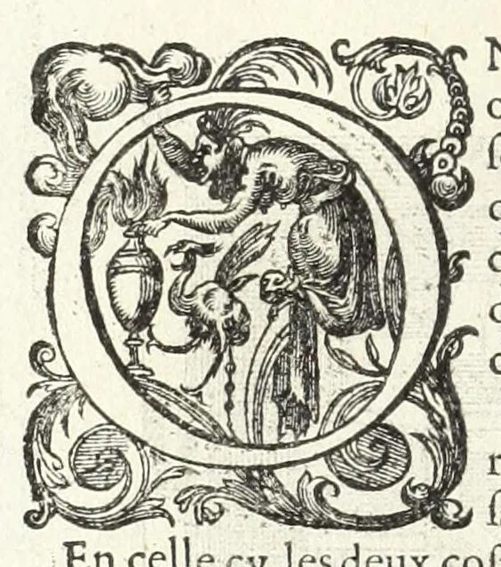 An illustration from La perspectiue pratique : necessaire a tous peintres, graueurs, sculpteurs, architectes, orfeures, brodeurs, tapissiers, et autres qui se meslent de desseigner, 1647, leaf 112
