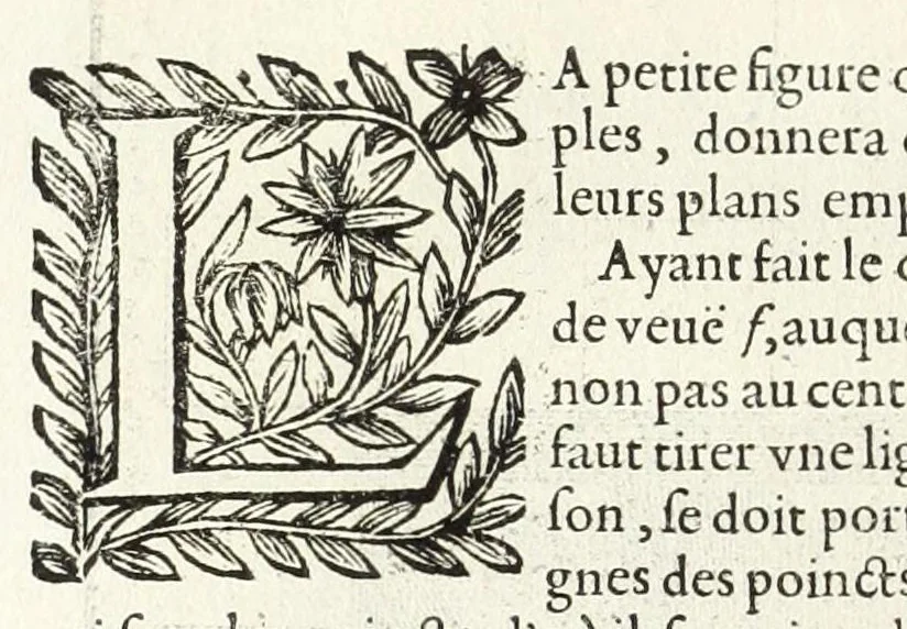 An illustration from La perspectiue pratique : necessaire a tous peintres, graueurs, sculpteurs, architectes, orfeures, brodeurs, tapissiers, et autres qui se meslent de desseigner, 1647, leaf 114