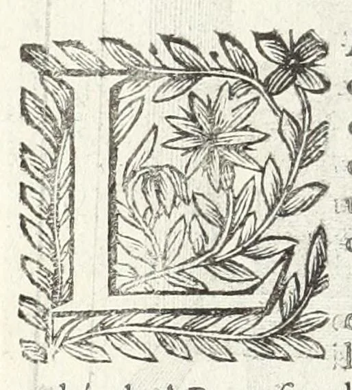 An illustration from La perspectiue pratique : necessaire a tous peintres, graueurs, sculpteurs, architectes, orfeures, brodeurs, tapissiers, et autres qui se meslent de desseigner, 1647, leaf 142