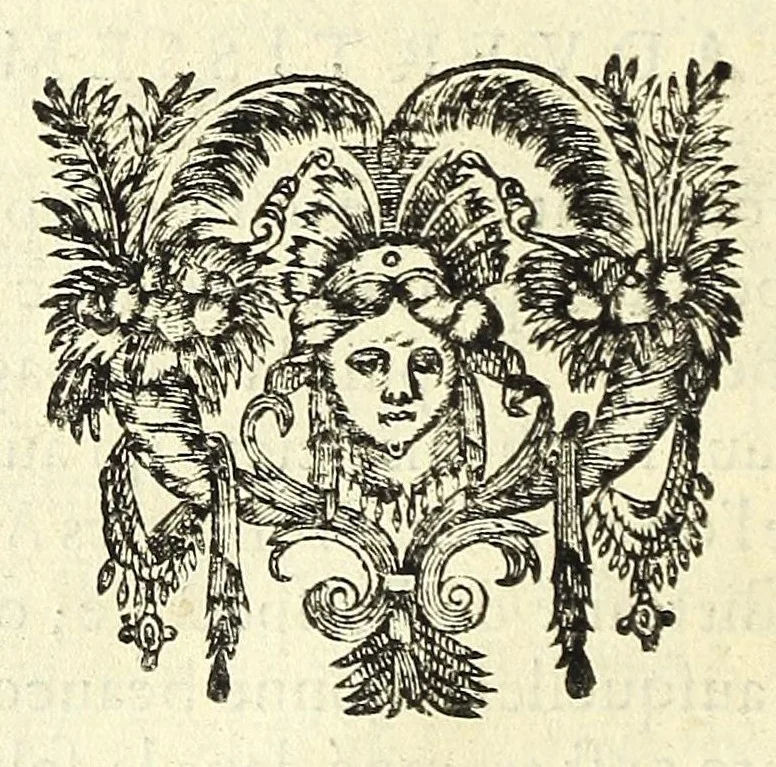 An illustration from La perspective cvrievse dv reverend P. Niceron, minime, divisée en qvatre livres. Avec L'optiqve et la catoptriqve du R. P. Mersenne ... mise en lumiere aprés la mort de l'autheur ..., 1663, leaf 108