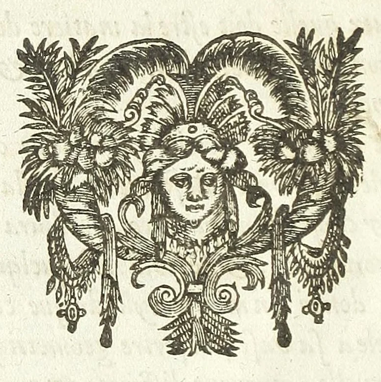An illustration from La perspective cvrievse dv reverend P. Niceron, minime, divisée en qvatre livres. Avec L'optiqve et la catoptriqve du R. P. Mersenne ... mise en lumiere aprés la mort de l'autheur ..., 1663, leaf 16