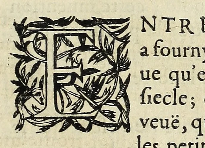 An illustration from La perspective cvrievse dv reverend P. Niceron, minime, divisée en qvatre livres. Avec L'optiqve et la catoptriqve du R. P. Mersenne ... mise en lumiere aprés la mort de l'autheur ..., 1663, leaf 193