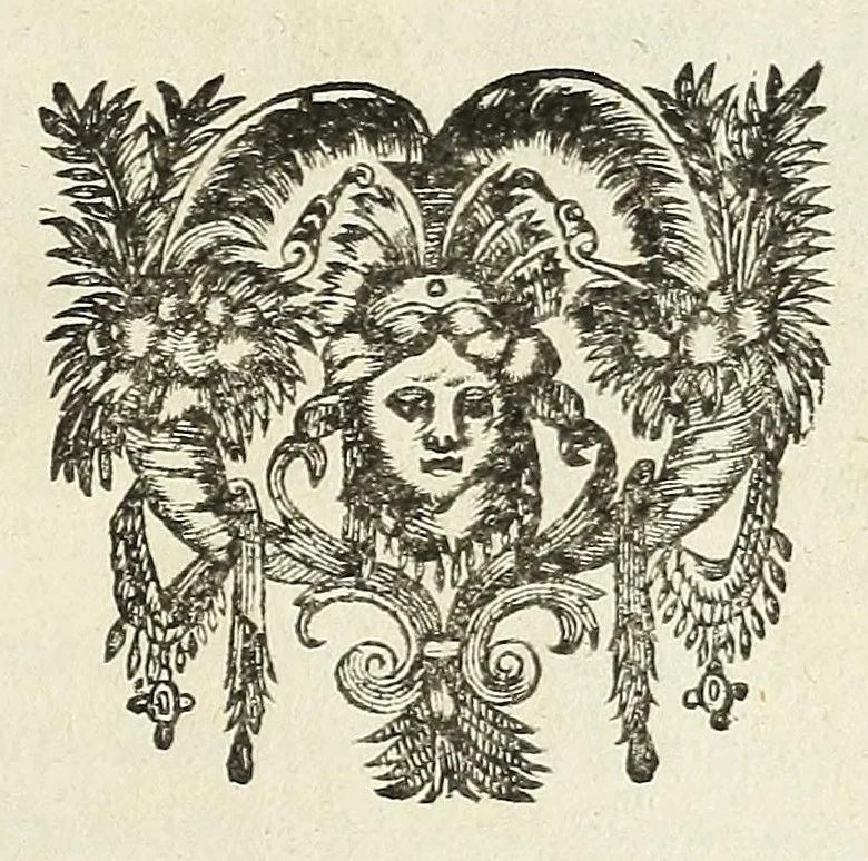 An illustration from La perspective cvrievse dv reverend P. Niceron, minime, divisée en qvatre livres. Avec L'optiqve et la catoptriqve du R. P. Mersenne ... mise en lumiere aprés la mort de l'autheur ..., 1663, leaf 213