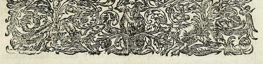 An illustration from La perspective cvrievse dv reverend P. Niceron, minime, divisée en qvatre livres. Avec L'optiqve et la catoptriqve du R. P. Mersenne ... mise en lumiere aprés la mort de l'autheur ..., 1663, leaf 215
