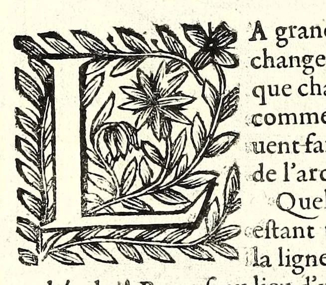 An illustration from La perspective pratiqve : necessaire a tovs peintres, graveurs, architectes, brodeurs, scvlpteurs, orfevres, tapissiers, et autres qui se meslent de desseigner, 1663, leaf 142