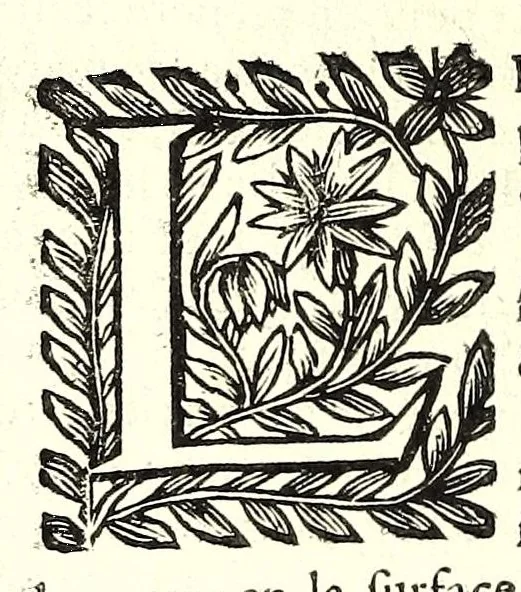 An illustration from La perspective pratiqve : necessaire a tovs peintres, graveurs, architectes, brodeurs, scvlpteurs, orfevres, tapissiers, et autres qui se meslent de desseigner, 1663, leaf 366