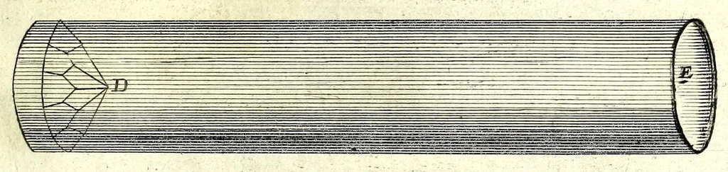 An illustration from La perspective pratiqve : necessaire a tovs peintres, graveurs, architectes, brodeurs, scvlpteurs, orfevres, tapissiers, et autres qui se meslent de desseigner, 1663, leaf 411
