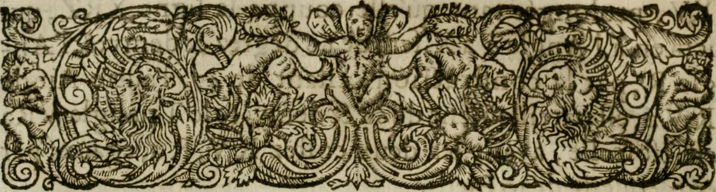 An illustration from La perspective speculative, et pratique : ou sont demonstrez les fondemens de cet art, & de tout ce qui en a esté enseigné jusqu'à present : ensemble la maniere vniverselle de la pratiquer, non seulement sans plan geometral, & sans tiers poinct, dedans ni dehors le champ du tableau : mais encores par le moyen de la ligne, communément appellée horisontale, 1643, leaf 135