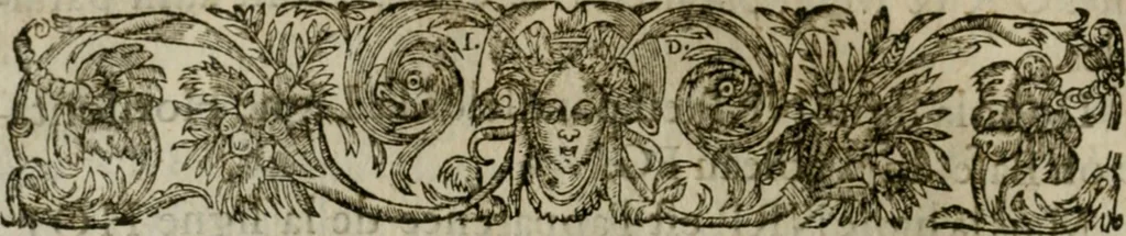 An illustration from La perspective speculative, et pratique : ou sont demonstrez les fondemens de cet art, & de tout ce qui en a esté enseigné jusqu'à present : ensemble la maniere vniverselle de la pratiquer, non seulement sans plan geometral, & sans tiers poinct, dedans ni dehors le champ du tableau : mais encores par le moyen de la ligne, communément appellée horisontale, 1643, leaf 37