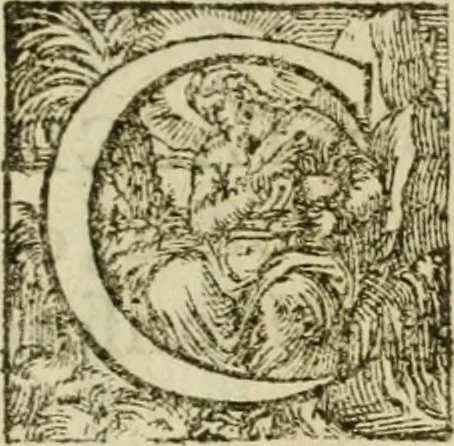 An illustration from La perspective speculative, et pratique : ou sont demonstrez les fondemens de cet art, & de tout ce qui en a esté enseigné jusqu'à present : ensemble la maniere vniverselle de la pratiquer, non seulement sans plan geometral, & sans tiers poinct, dedans ni dehors le champ du tableau : mais encores par le moyen de la ligne, communément appellée horisontale, 1643, leaf 68