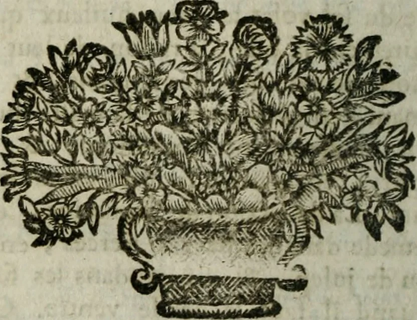 An illustration from La pharmacopée, raisonnée, 1698, leaf 813