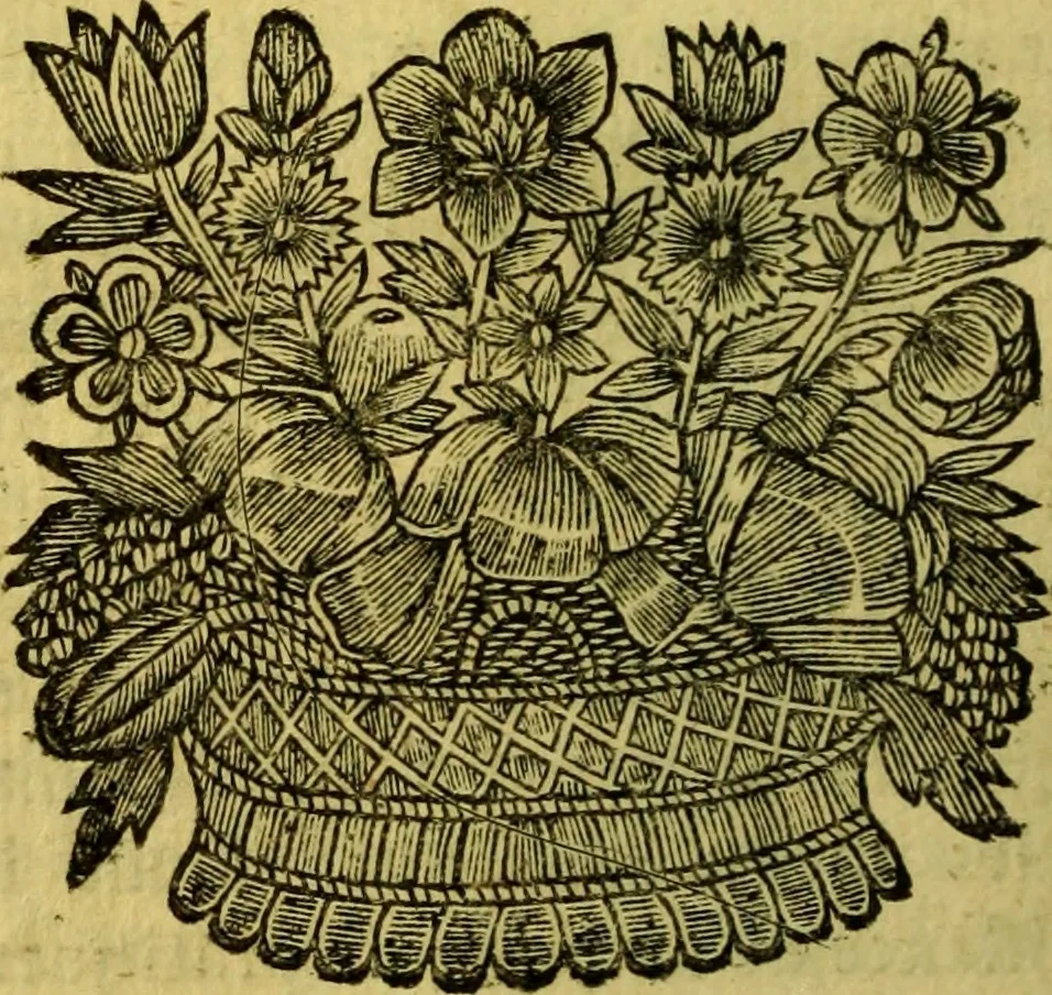 An illustration from La philosophie des gens de cour : ou l'on enseigne d'une manière aisée & naturelle ce qu'il y a de plus curieux dans la phisique, & de plus solide dans la morale pour l'usage des personnes de qualité, 1683, leaf 185