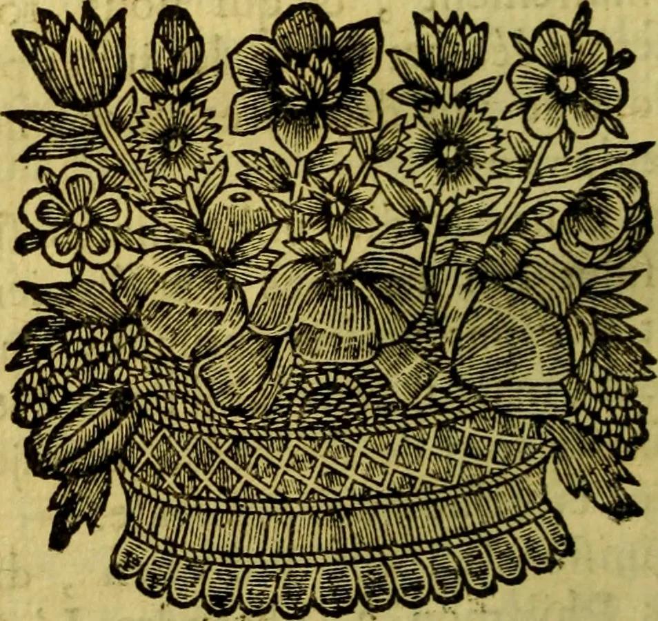 An illustration from La philosophie des gens de cour : ou l'on enseigne d'une manière aisée & naturelle ce qu'il y a de plus curieux dans la phisique, & de plus solide dans la morale pour l'usage des personnes de qualité, 1683, leaf 321