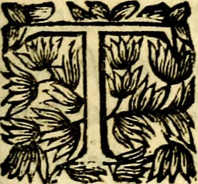 An illustration from La philosophie des images : composée d'un ample recueil de devises, & du jugement de tous les ouvrages qui ont êté faits sur cette matiere, 1682, leaf 22