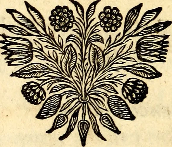 An illustration from La philosophie des images : composée d'un ample recueil de devises, & du jugement de tous les ouvrages qui ont êté faits sur cette matiere, 1682, leaf 13