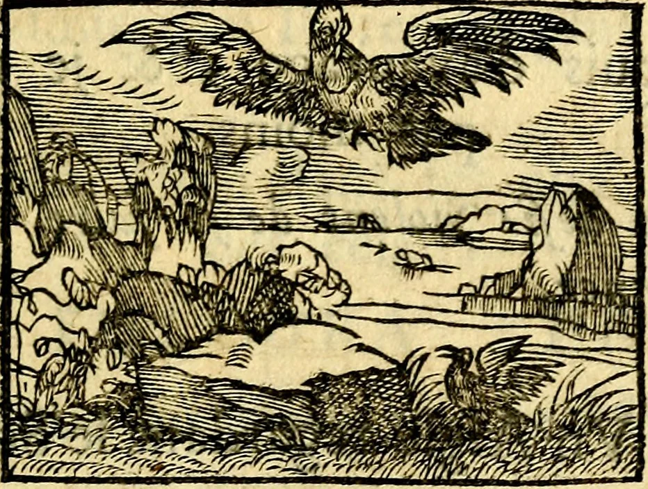 An illustration from La philosophie des images : composée d'un ample recueil de devises, & du jugement de tous les ouvrages qui ont êté faits sur cette matiere, 1682, leaf 284
