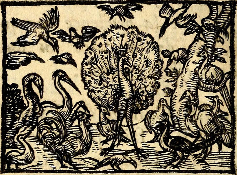 An illustration from La philosophie des images : composée d'un ample recueil de devises, & du jugement de tous les ouvrages qui ont êté faits sur cette matiere, 1682, leaf 351