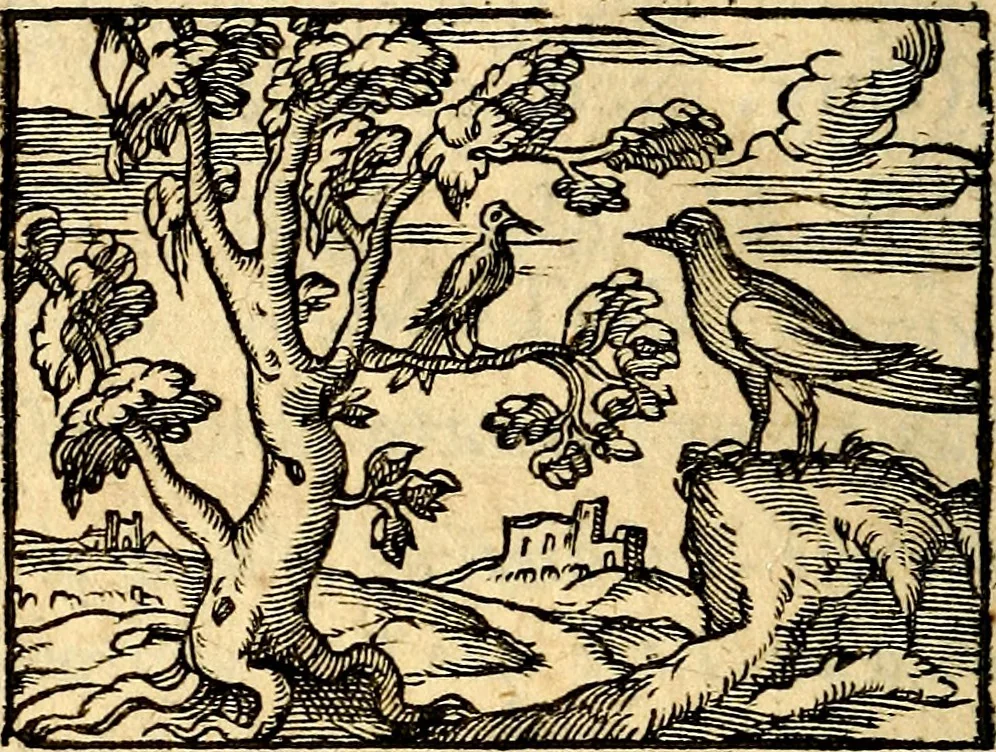 An illustration from La philosophie des images : composée d'un ample recueil de devises, & du jugement de tous les ouvrages qui ont êté faits sur cette matiere, 1682, leaf 375