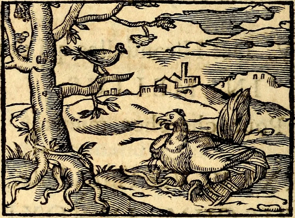An illustration from La philosophie des images : composée d'un ample recueil de devises, & du jugement de tous les ouvrages qui ont êté faits sur cette matiere, 1682, leaf 387