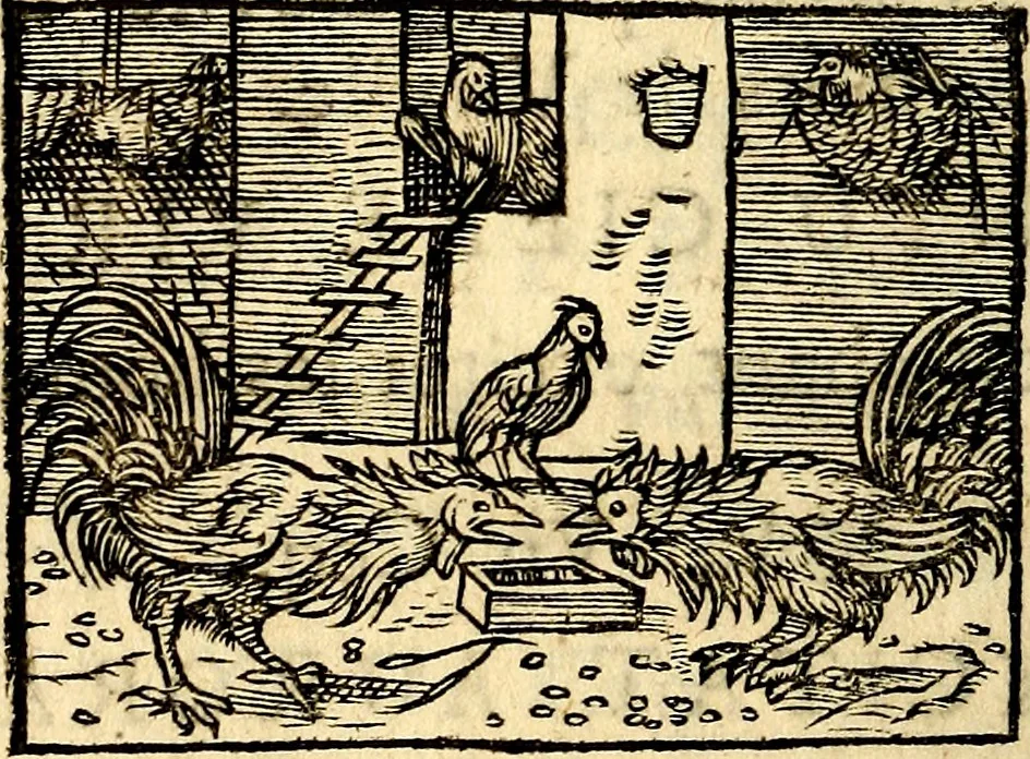 An illustration from La philosophie des images : composée d'un ample recueil de devises, & du jugement de tous les ouvrages qui ont êté faits sur cette matiere, 1682, leaf 399