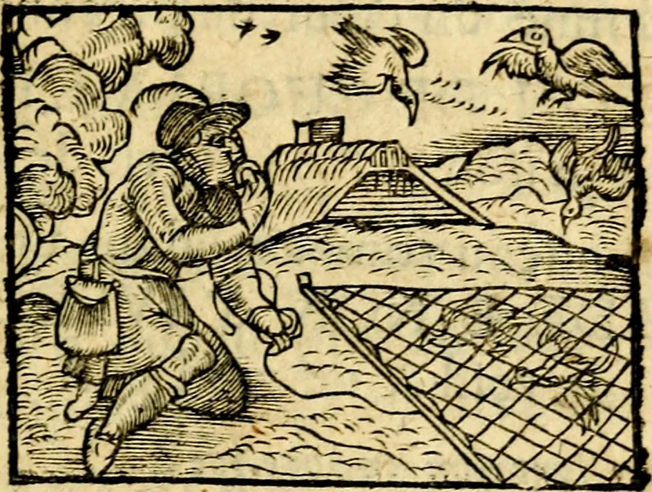 An illustration from La philosophie des images : composée d'un ample recueil de devises, & du jugement de tous les ouvrages qui ont êté faits sur cette matiere, 1682, leaf 430