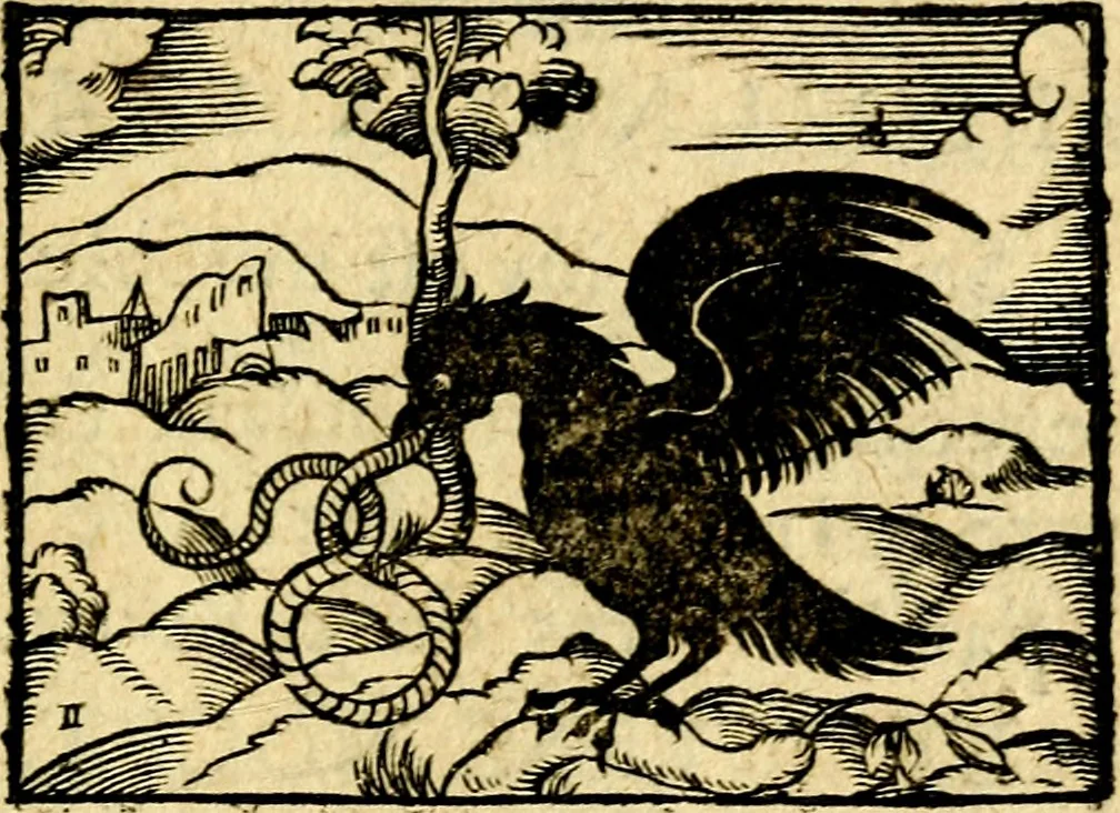 An illustration from La philosophie des images : composée d'un ample recueil de devises, & du jugement de tous les ouvrages qui ont êté faits sur cette matiere, 1682, leaf 434