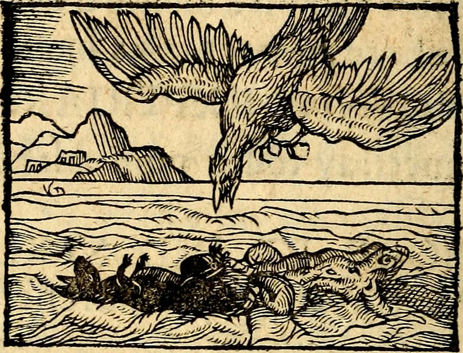 An illustration from La philosophie des images : composée d'un ample recueil de devises, & du jugement de tous les ouvrages qui ont êté faits sur cette matiere, 1682, leaf 437