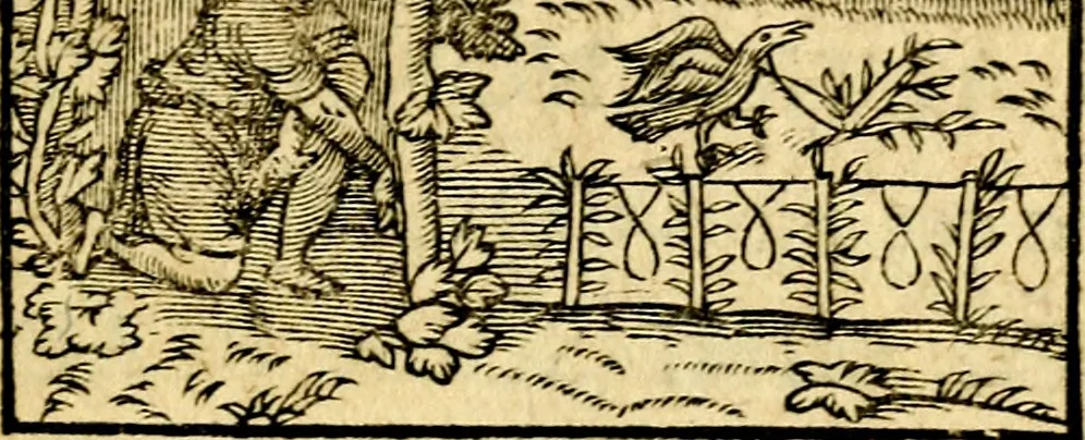 An illustration from La philosophie des images : composée d'un ample recueil de devises, & du jugement de tous les ouvrages qui ont êté faits sur cette matiere, 1682, leaf 442