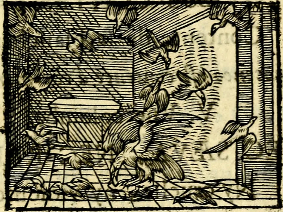 An illustration from La philosophie des images : composée d'un ample recueil de devises, & du jugement de tous les ouvrages qui ont êté faits sur cette matiere, 1682, leaf 450