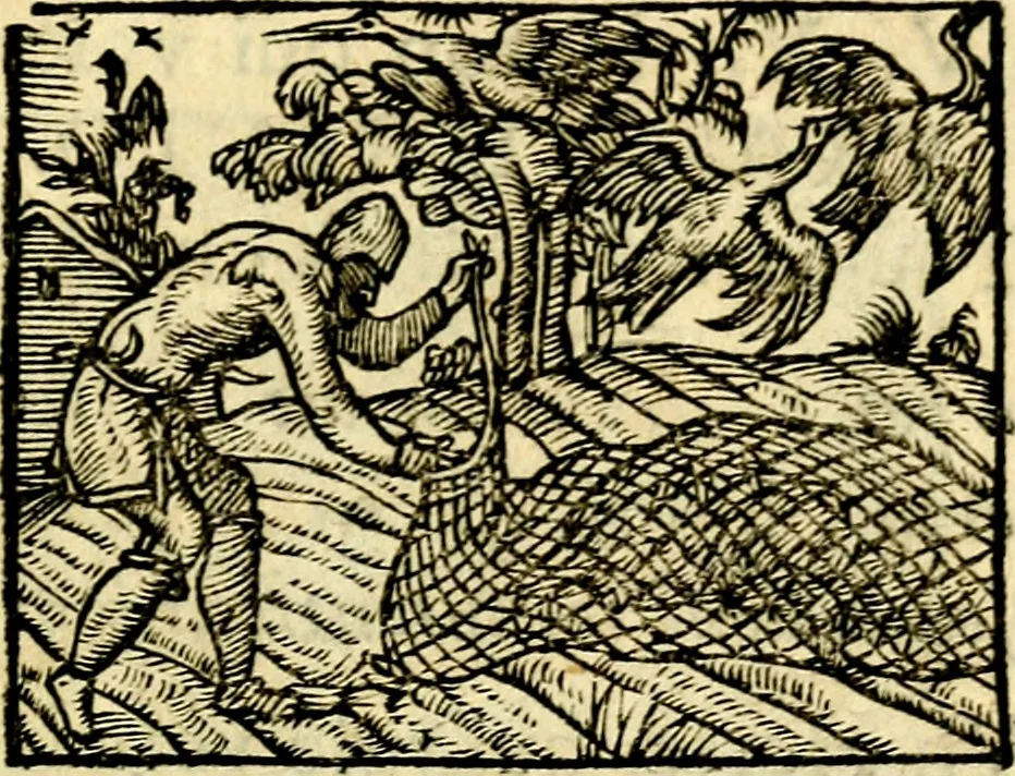 An illustration from La philosophie des images : composée d'un ample recueil de devises, & du jugement de tous les ouvrages qui ont êté faits sur cette matiere, 1682, leaf 466