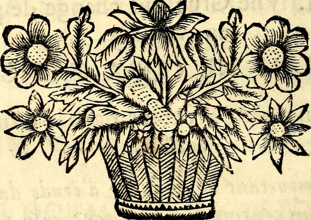An illustration from La philosophie des images : composée d'un ample recueil de devises, & du jugement de tous les ouvrages qui ont êté faits sur cette matiere, 1682, leaf 501