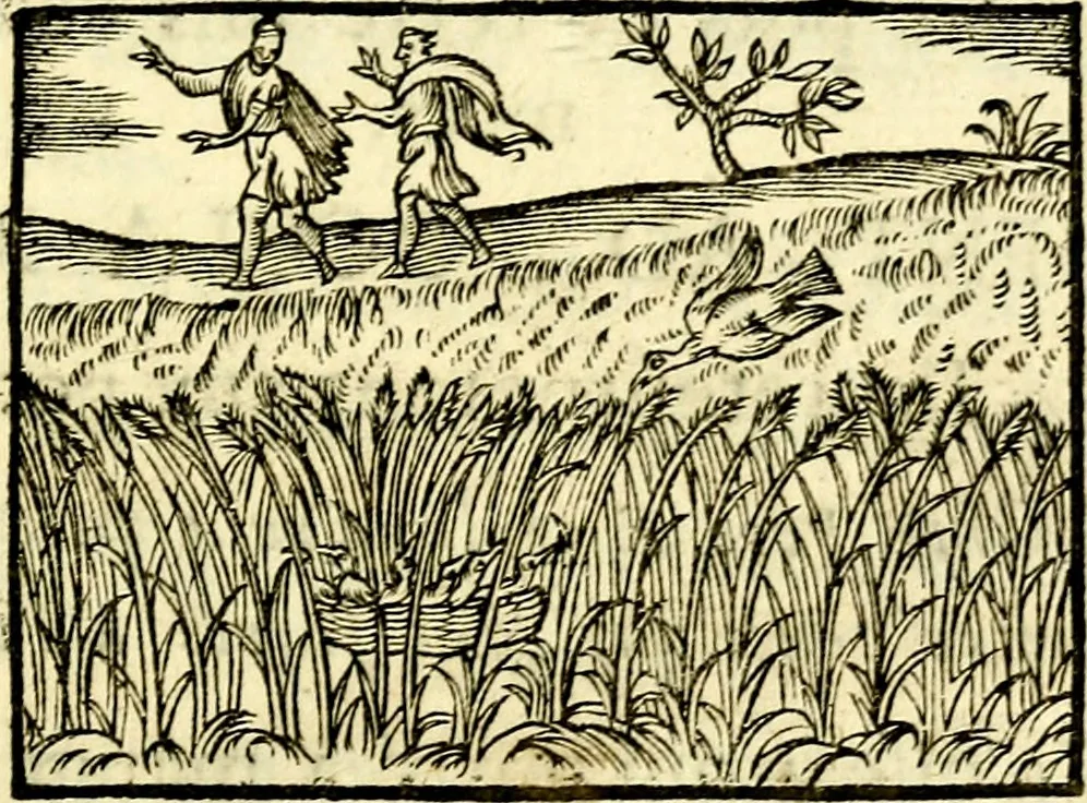 An illustration from La philosophie des images : composée d'un ample recueil de devises, & du jugement de tous les ouvrages qui ont êté faits sur cette matiere, 1682, leaf 502