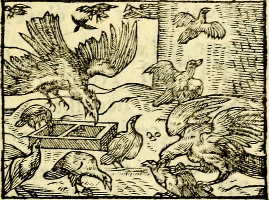 An illustration from La philosophie des images : composée d'un ample recueil de devises, & du jugement de tous les ouvrages qui ont êté faits sur cette matiere, 1682, leaf 510