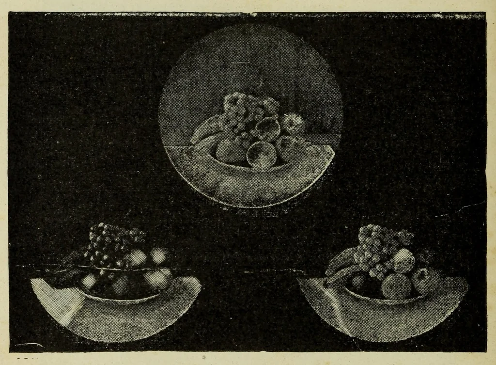 An illustration from La photographie des couleurs : suivi d'un glossaire, 1900, leaf 128