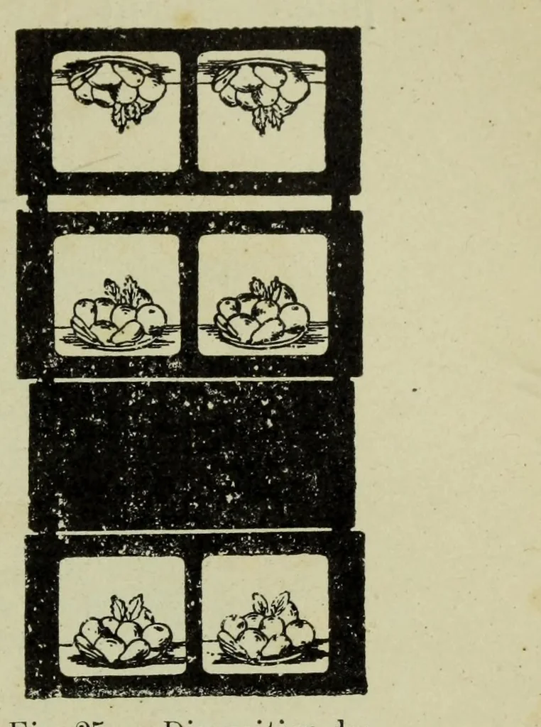 An illustration from La photographie des couleurs : suivi d'un glossaire, 1900, leaf 133