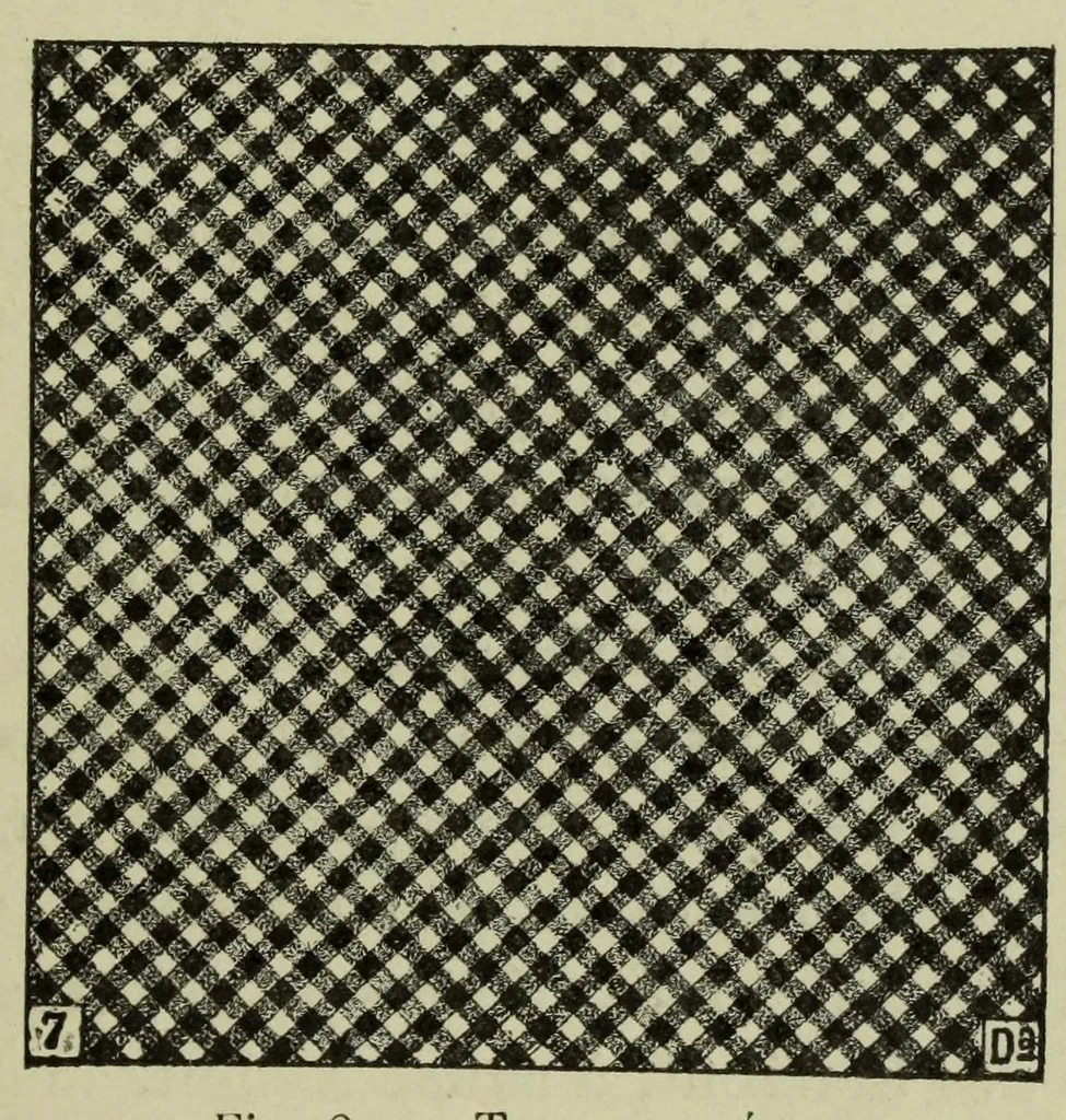 An illustration from La photographie des couleurs : suivi d'un glossaire, 1900, leaf 35