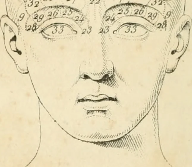 An illustration from La physiognomonie et la phrénologie ou connaissance de l'homme a'après les traits du visage et les reliefs du crane : examen critique des systèmes d'Aristote, de Porta, de La Chambre, de Camper, de Lavater, de Gall et de Spurzheim, 1842, leaf 165