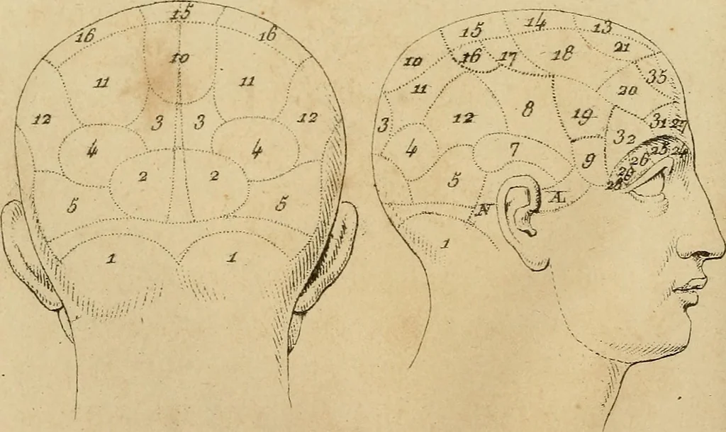 An illustration from La physiognomonie et la phrénologie, ou connaissance de l'homme d'après les traits du visage et les reliefs du crane; examen critique des systèmes d'Aristote, de Porta, de La Chambre, de Camper, de Lavater, de Gall et de Spurzheim, 1842, leaf 163