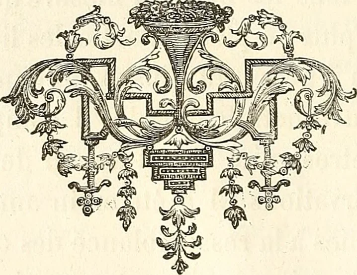 An illustration from La physionomie comparée; traité de l'expression dans l'homme, dans la nature, et dans l'art, 1885, leaf 19