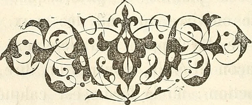 An illustration from La physionomie comparée; traité de l'expression dans l'homme, dans la nature, et dans l'art, 1885, leaf 519
