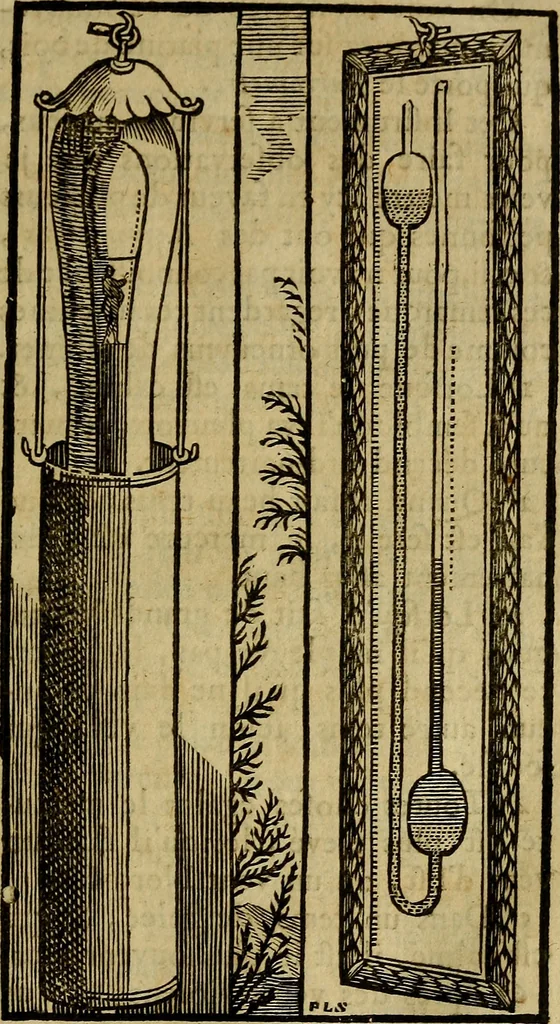 An illustration from La physique occulte, ou Traité de la baguette divinatoire et de son utilité pour la découverte des sources d'eau, des miniéres, des tresors cachez, des voleurs & des meurtriers fugitifs. : Avec des principes qui expliquent les phénoménes les plus obscurs de la nature., 1693, leaf 378