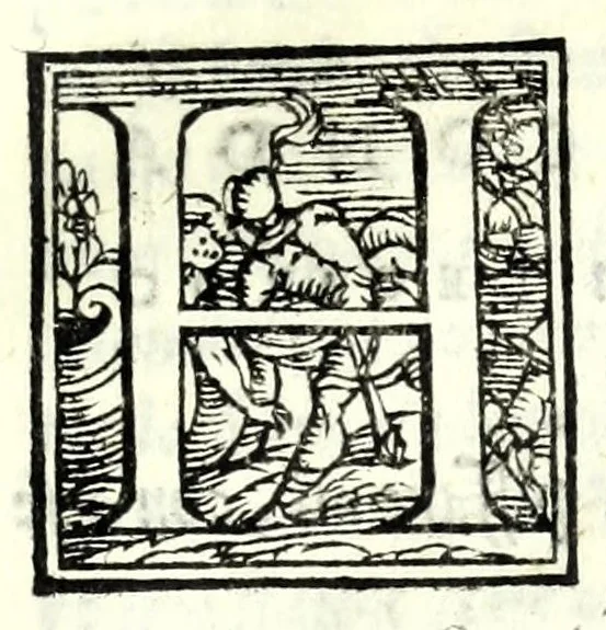An illustration from La piacevole, et giocosa comedia di m. Andrea Calmo intitolata Il Saltvzza : non piv venvta in luce, cosa bellissima, 1551, leaf 21