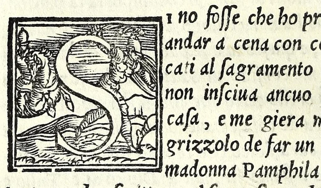 An illustration from La piacevole, et giocosa comedia di m. Andrea Calmo intitolata Il Saltvzza : non piv venvta in luce, cosa bellissima, 1551, leaf 32